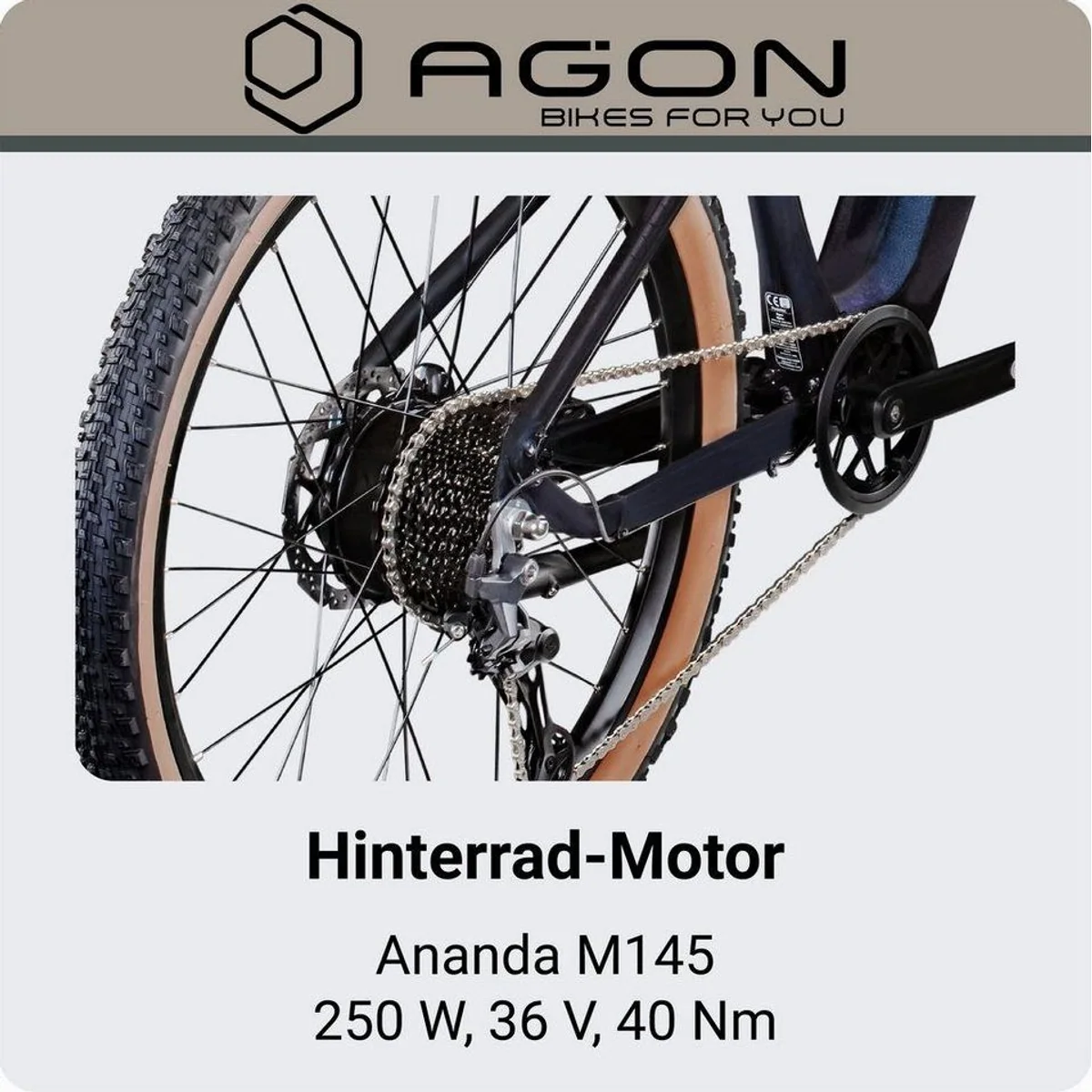 Agon E-Bike Mountainbike Alpha, 10 Gang Shimano Deore, 540 Wh Akku 5