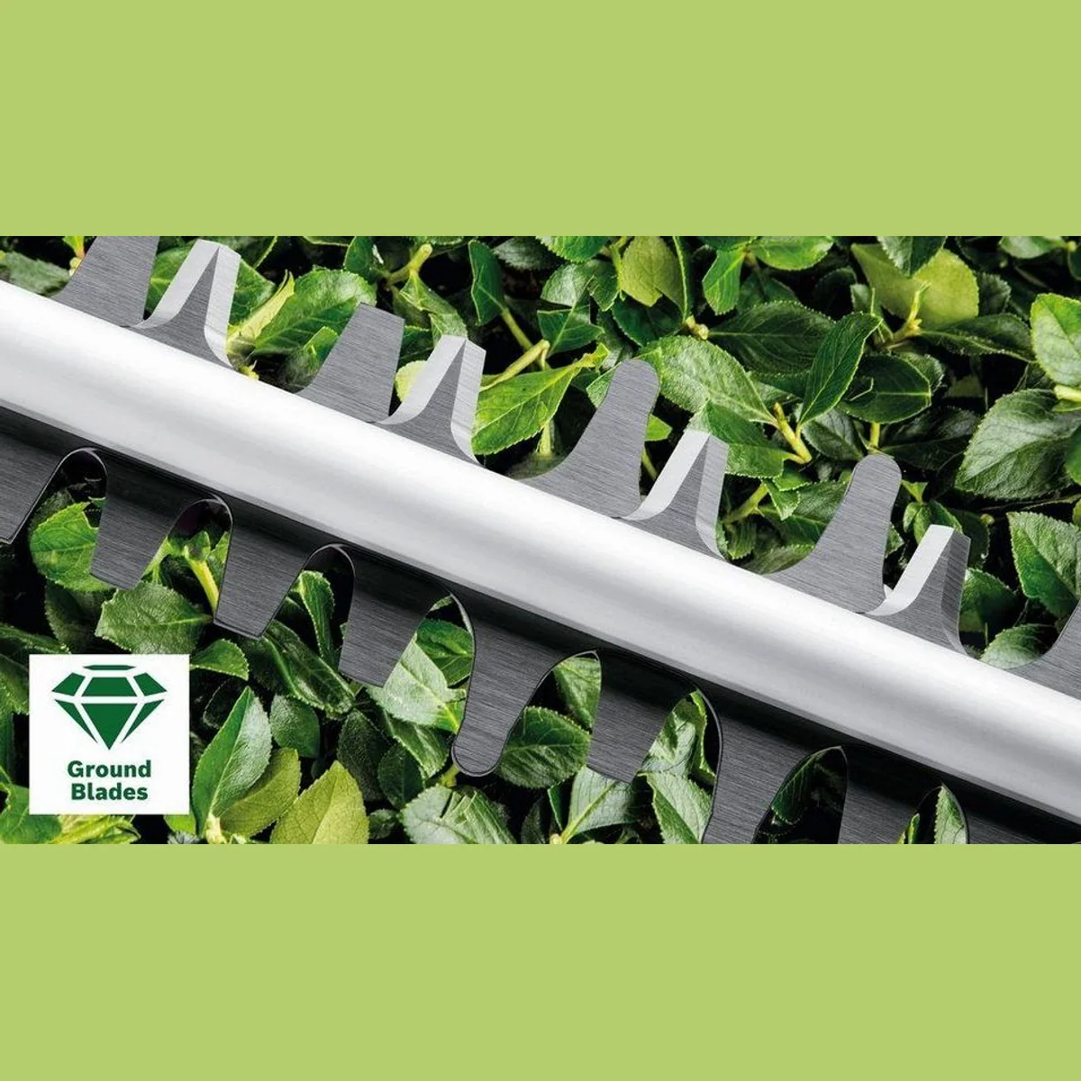 Bosch Home & Garden AdvancedHedgeCut 36V, kabellose Heckenschere, leistungsstark & leicht 4