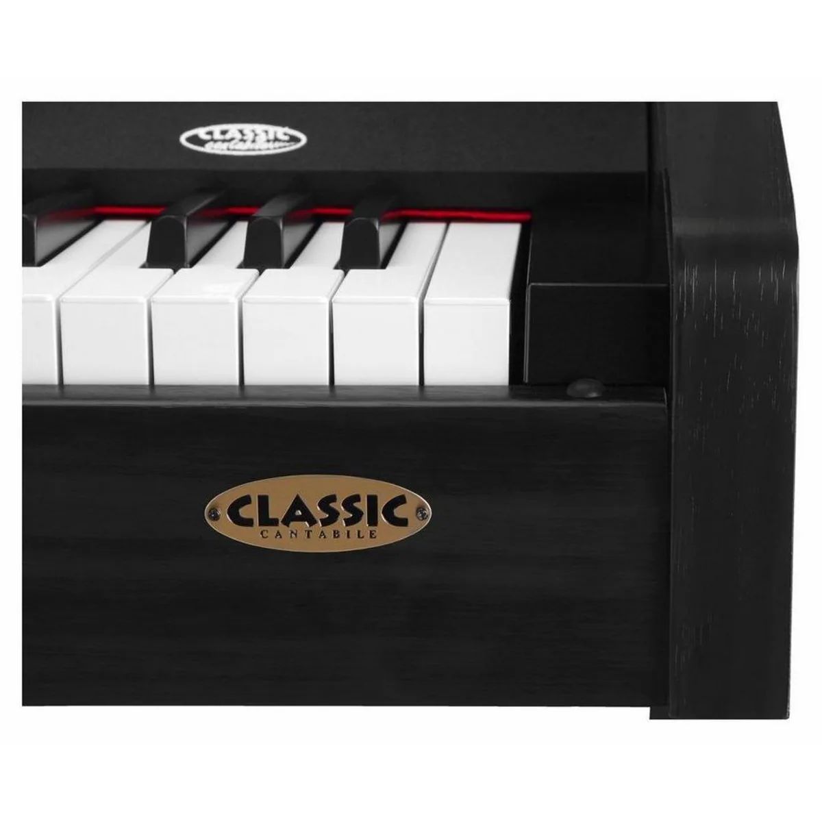 Classic Cantabile DP-210 Digitalpiano, 88 Tasten, Hammermechanik, Dual Mode/Split Mode 5
