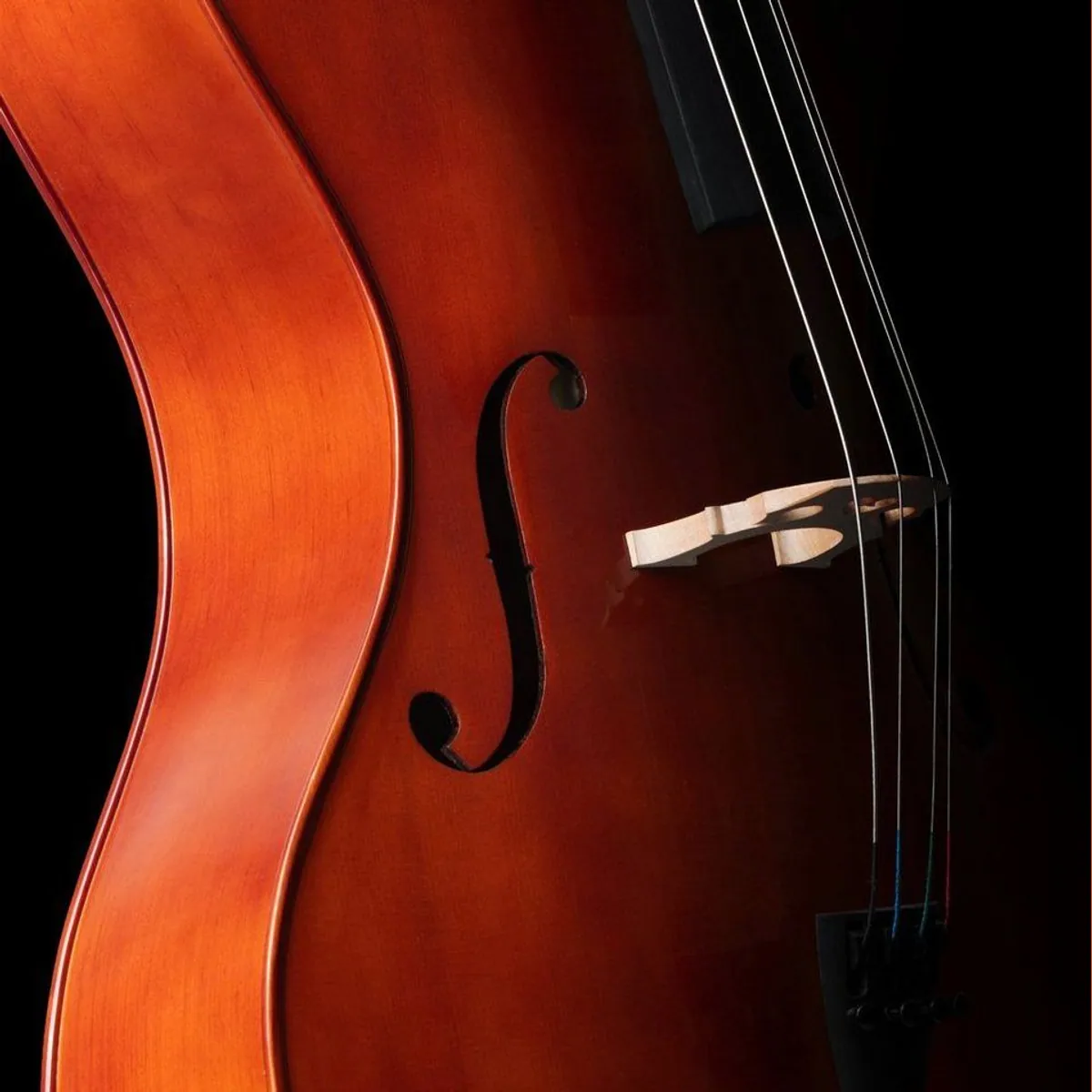 Classic Cantabile CP-200 4/4 Cello-Set, vollmassiv, inkl. Bogen und Tasche 2