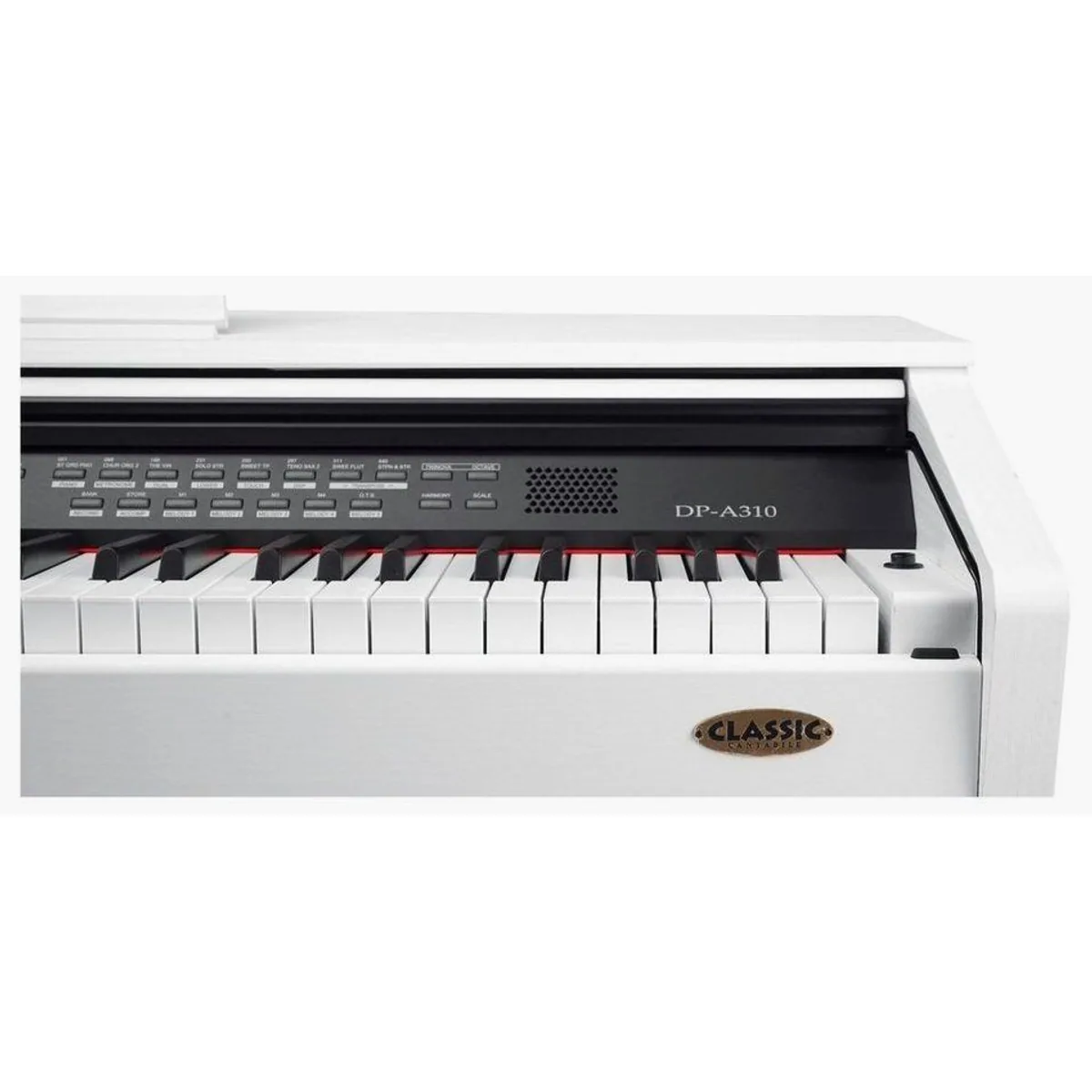 Classic Cantabile Digitalpiano DP-A 310, 88 Tasten, 500 Voices, Aufnahmefunktion — vielseitig und benutzerfreundlich 5