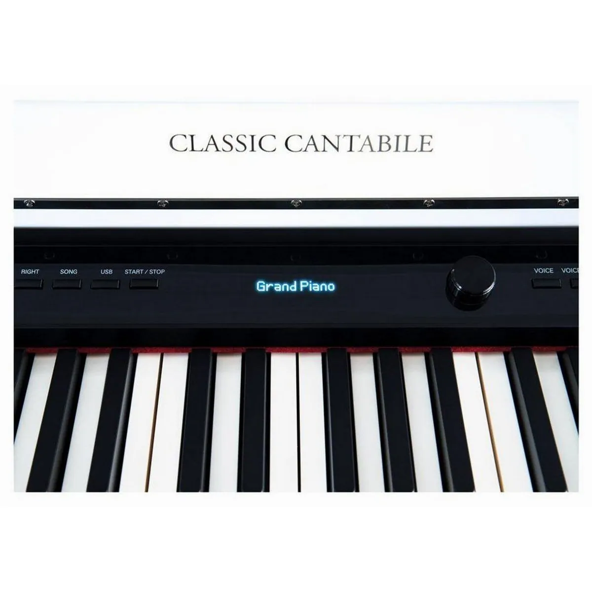 Classic Cantabile UP-1 WM Digitalpiano, 88 gewichtete Tasten, 40 Sounds 4