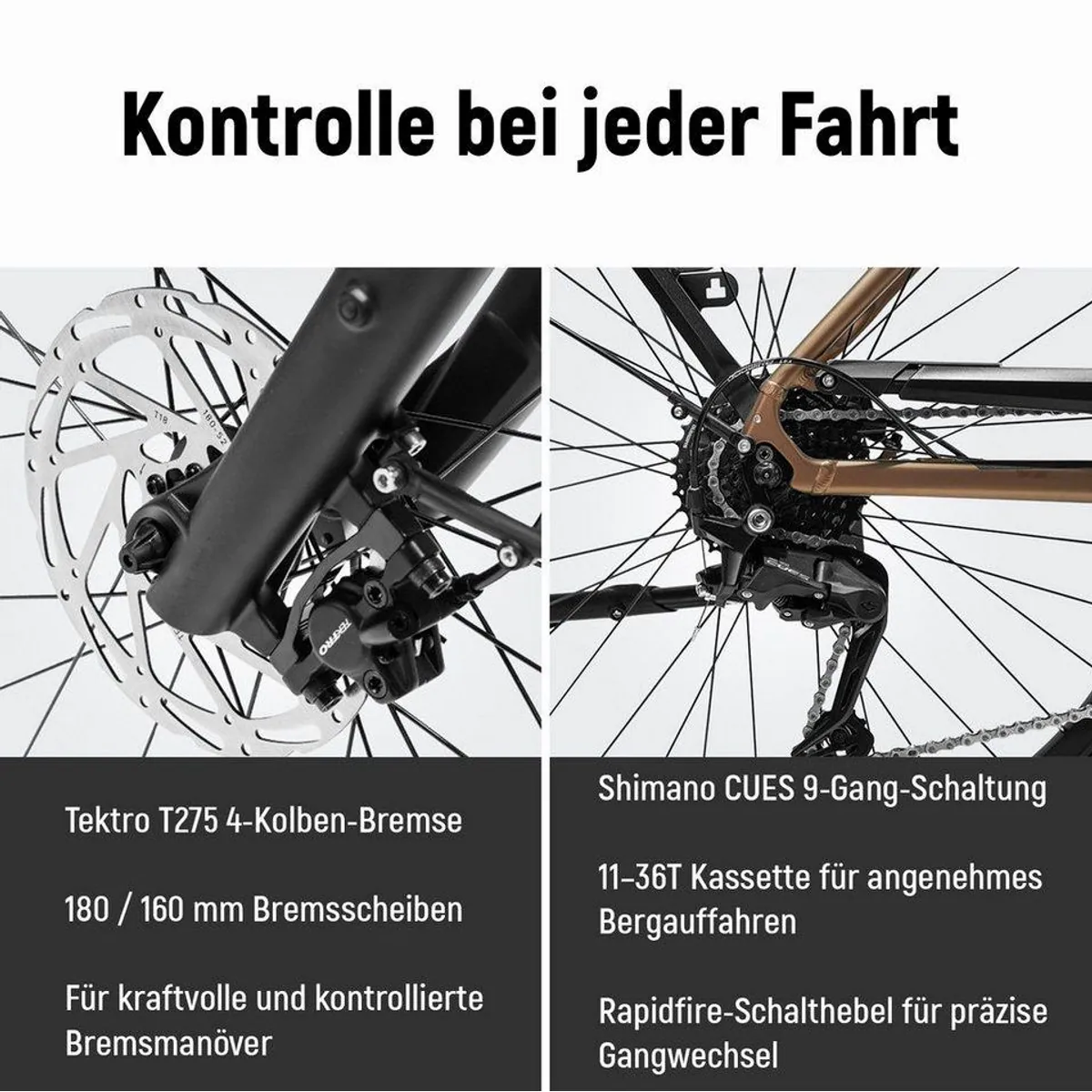 DERUIZ Quartz Pro E-Bike Cityrad, 644 Wh Akku, 100 Nm Mittelmotor, 9-Gang Shimano 4
