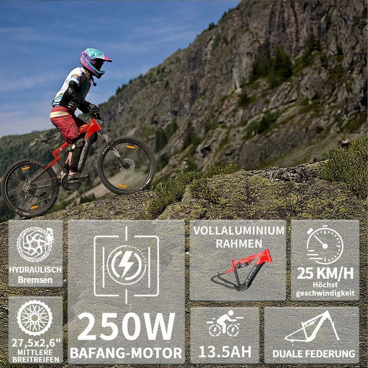 DUOTTS E29 E-Bike, starke Leistung, leichter Rahmen, 14-Gang Shimano 5