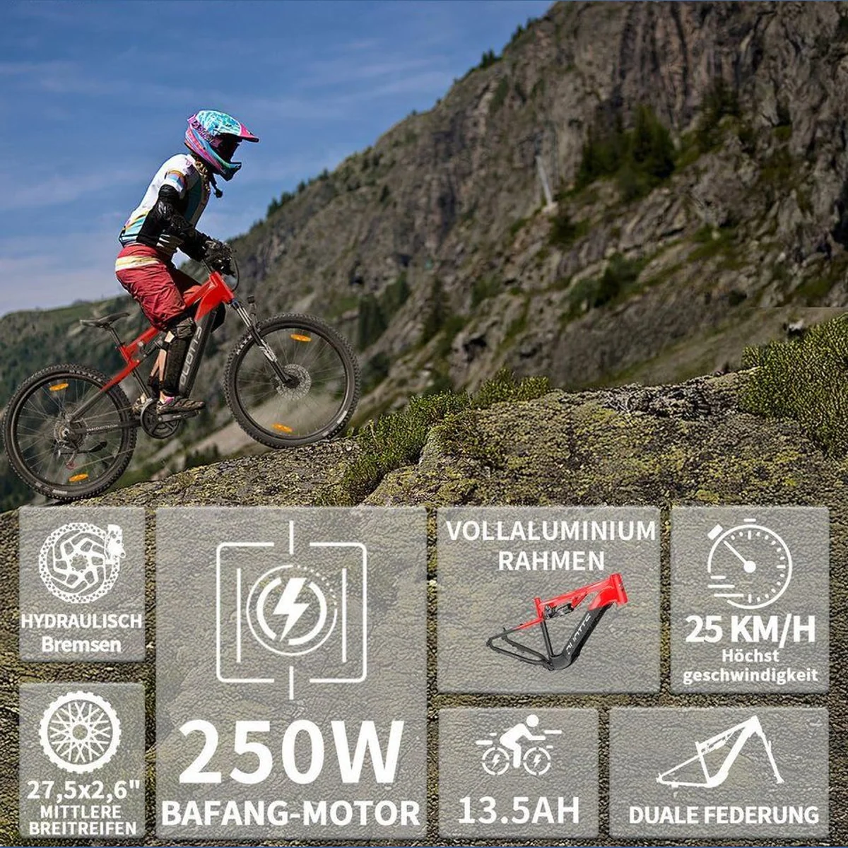 DUOTTS E29 E-Bike Cityrad, 648 Wh Akku, 14-Gang Shimano, IPX4-Schutz 3