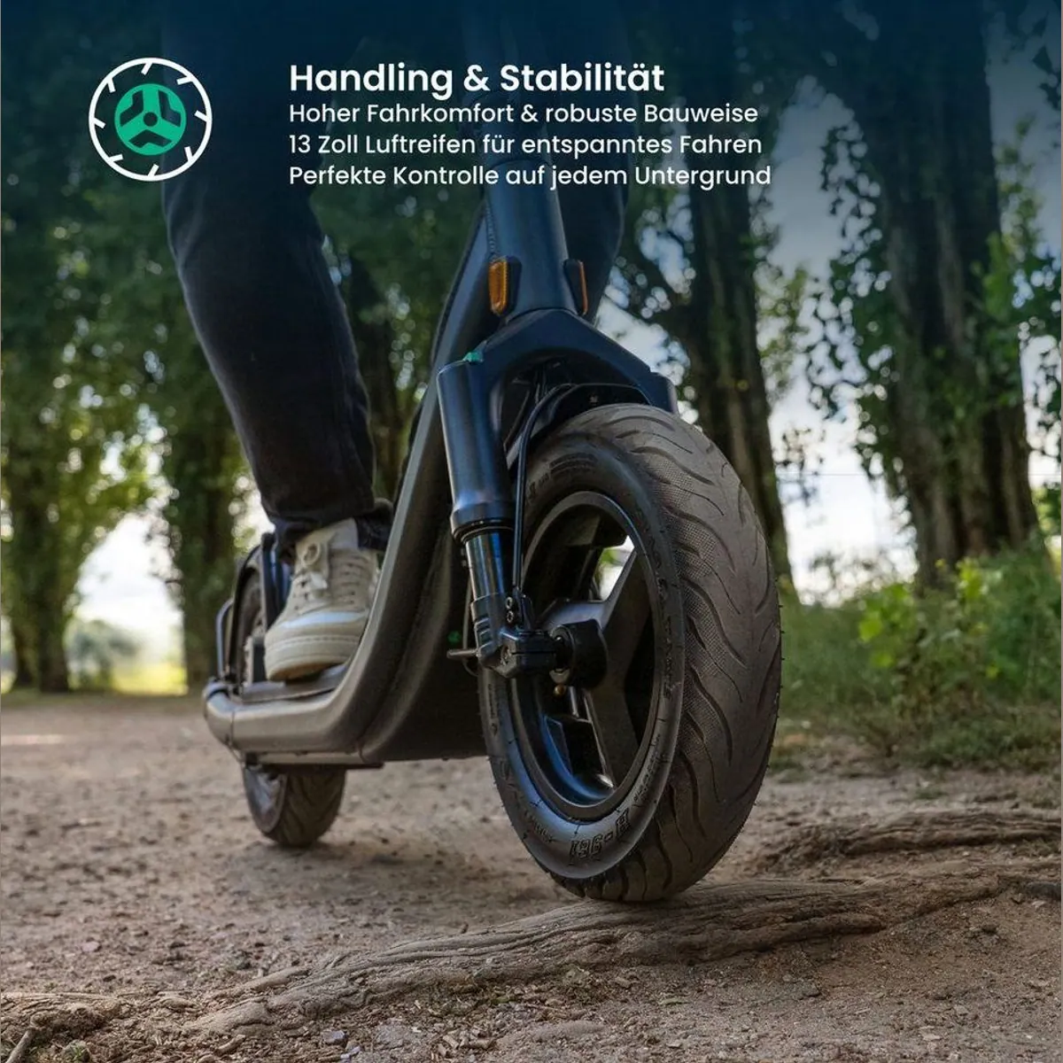 Egret GT E-Scooter, 13", Vollfederung, 100 km Reichweite 4