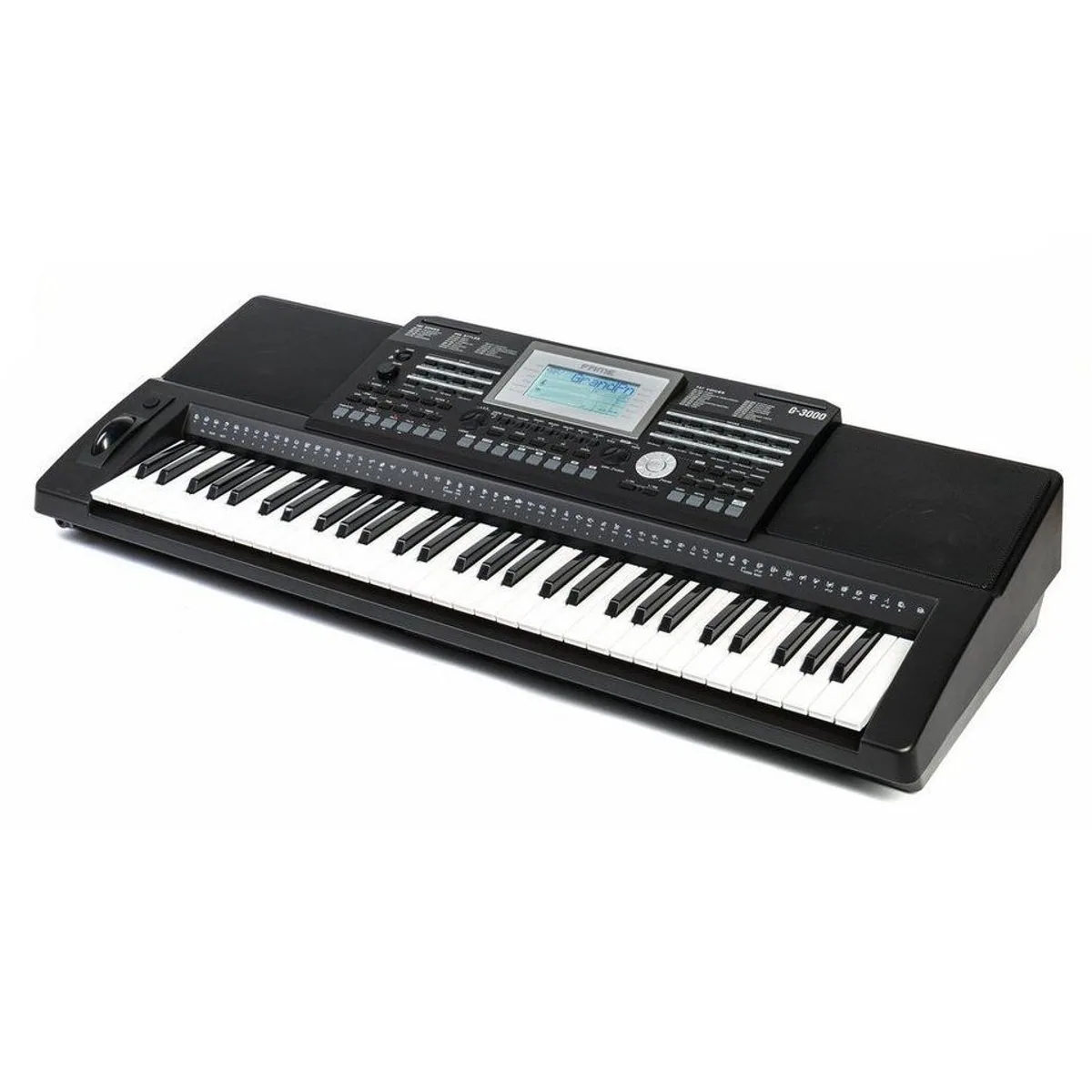 FAME G-3000 Homekeyboard, 61 Tasten, 737 Sounds, 240 Styles 2