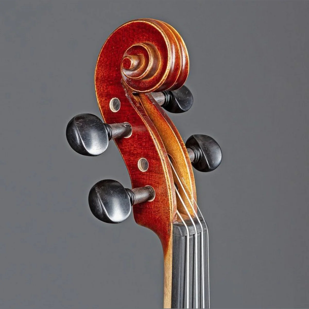 Gewa Allegro 4/4 Violine, massiver Ahorn, Carbon-Bogen, Softcase 5