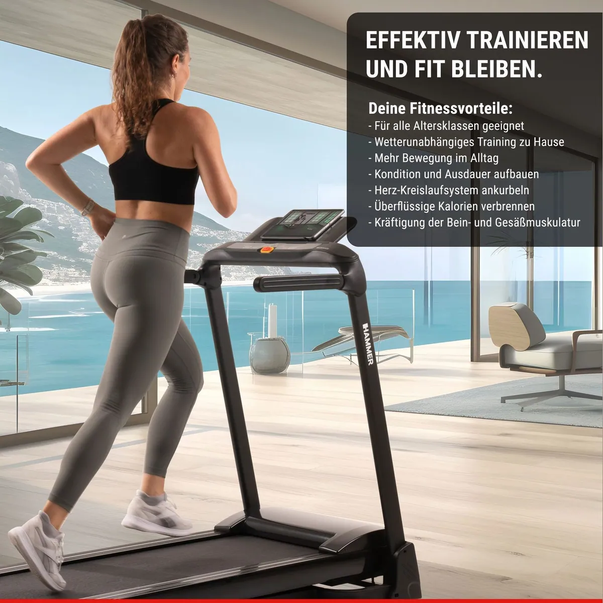 Hammer Laufband Flyrun 2.0, 26 Programme, 4,5 PS, 20 km/h 4
