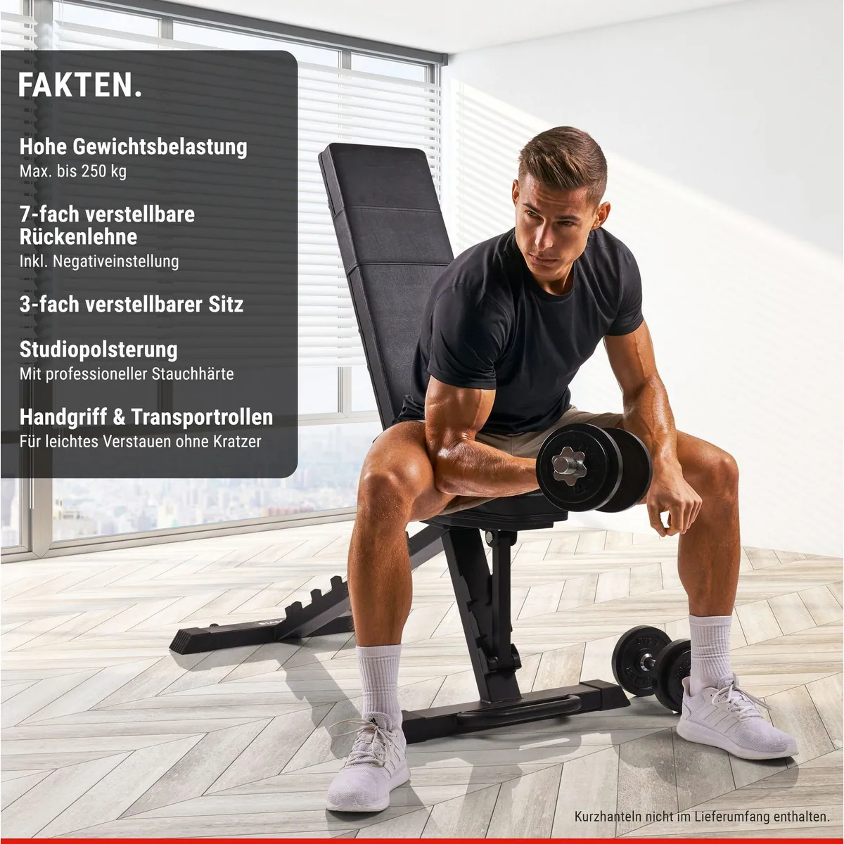 Hammer Force 6.0 Trainingsbank, 7-fach verstellbar, hohe Belastbarkeit 2