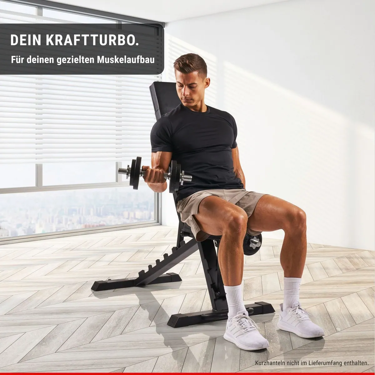 Hammer Force 6.0 Trainingsbank, 7-fach verstellbar, hohe Belastbarkeit 5