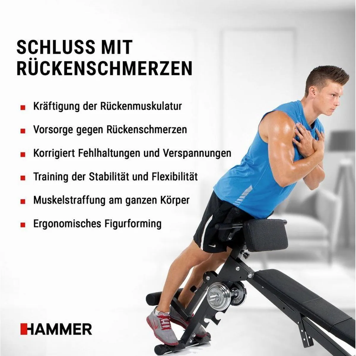 Hammer Bauchtrainer AB & Back Trainer, effektives Ganzkörpertraining, einfache Handhabung 3