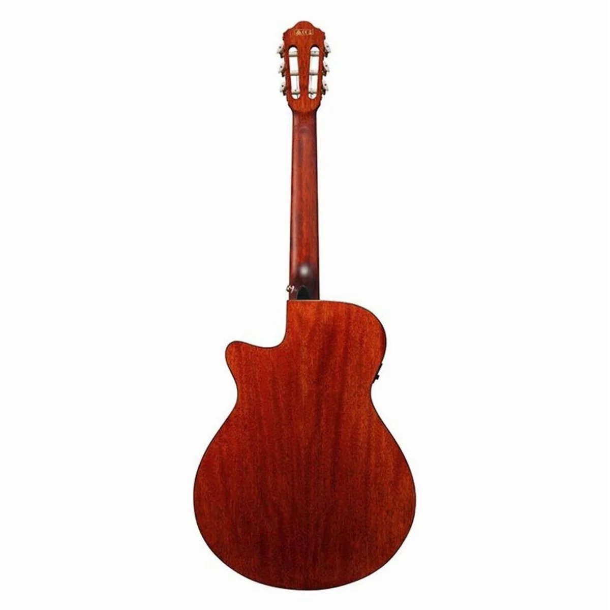 Ibanez AEG50N NT Konzertgitarre, Fichtendecke, Walnussgriffbrett, Cutaway 3