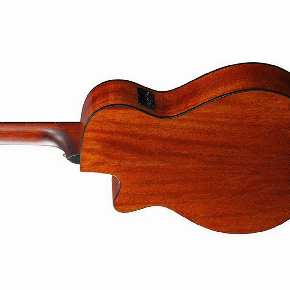 Ibanez AEG50N NT Konzertgitarre, Fichtendecke, Walnussgriffbrett, Cutaway 4