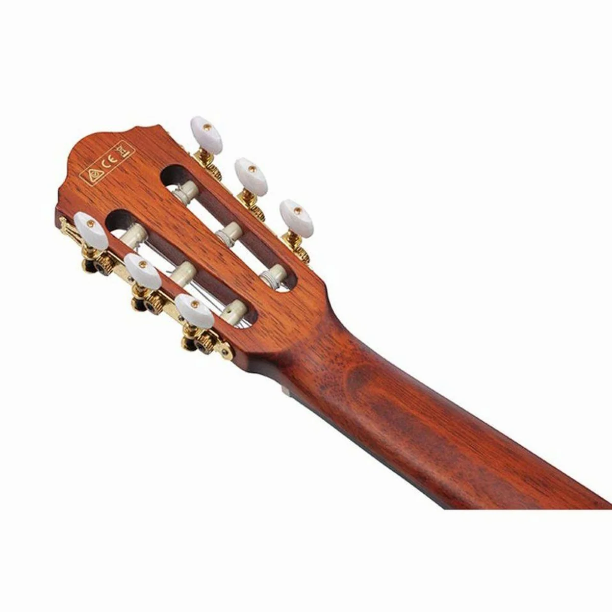 Ibanez AEG50N NT Konzertgitarre, Fichtendecke, Walnussgriffbrett, Cutaway 5