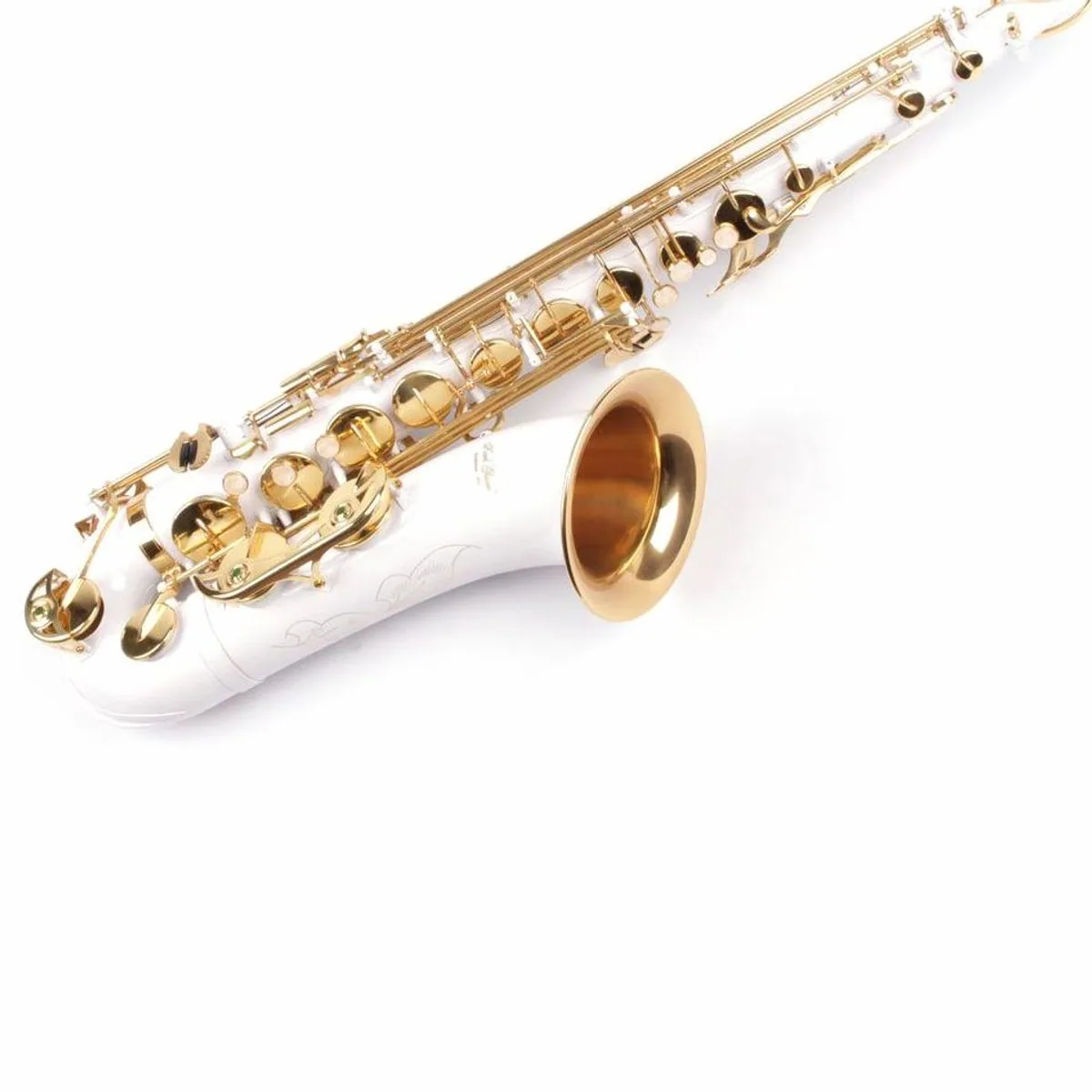 Karl Glaser Tenor Saxophon, Einsteiger-Set, inklusive Softkoffer und Gurt 2