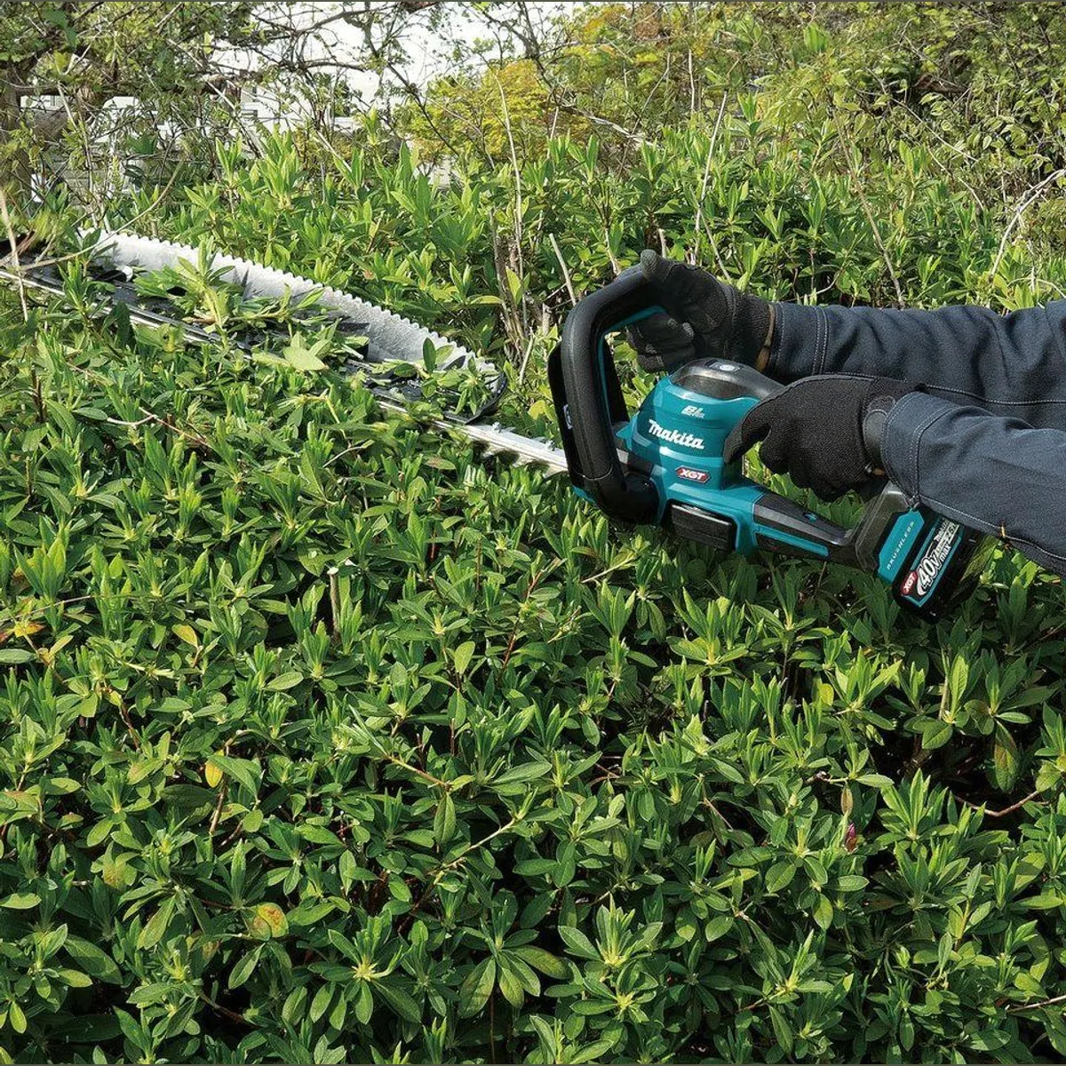 Makita UH020GZ XGT Akku-Heckenschere, 50 cm Schnittlänge, 460 W Leistung 2