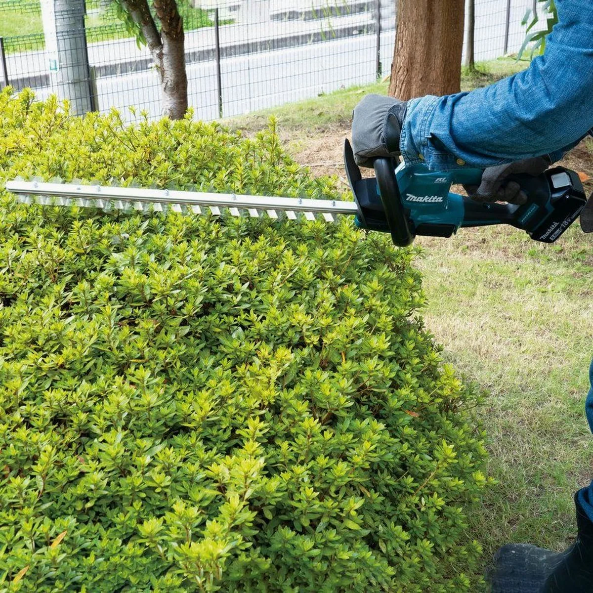 Makita DUH506Z Akku-Heckenschere, 18V, 50 cm Scherblatt, 20 mm Aststärke 2