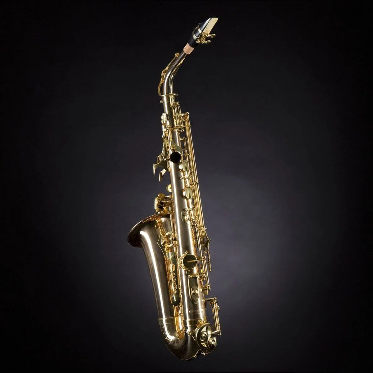 Monzani MZAS-533 II GM Alt Saxophon, druckvoller Sound, ergonomische Mechanik, inkl. Koffer 4