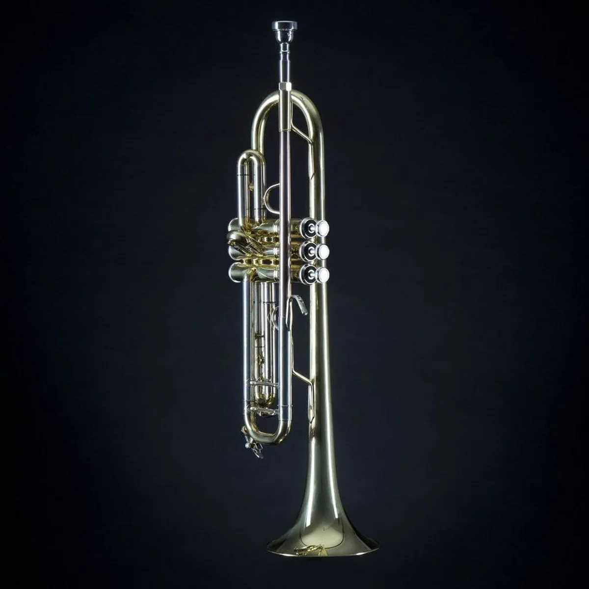 Monzani MZTR 344 Bb-Trompete, Goldlack, Edelstahlventile, ideal für Anfänger 2