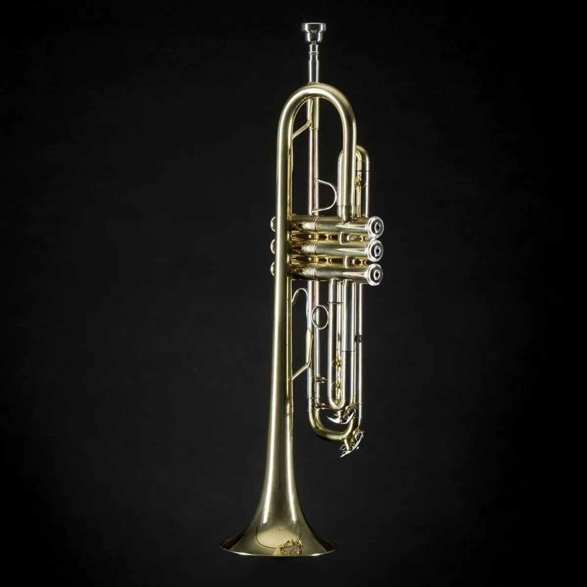 Monzani MZTR 344 Bb-Trompete, Goldlack, Edelstahlventile, ideal für Anfänger 3