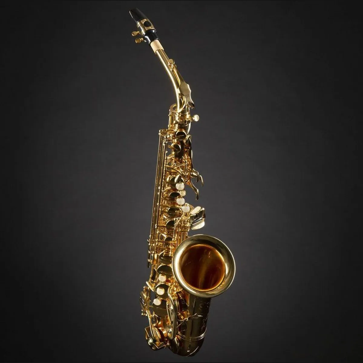 Monzani MZAS-90L Alt Saxophon, leichtes Gewicht, volle Klangqualität, einfach zu spielen 2