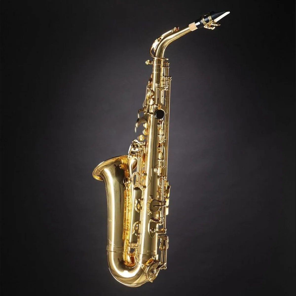 Monzani MZAS-90L Alt Saxophon, leichtes Gewicht, volle Klangqualität, einfach zu spielen 3