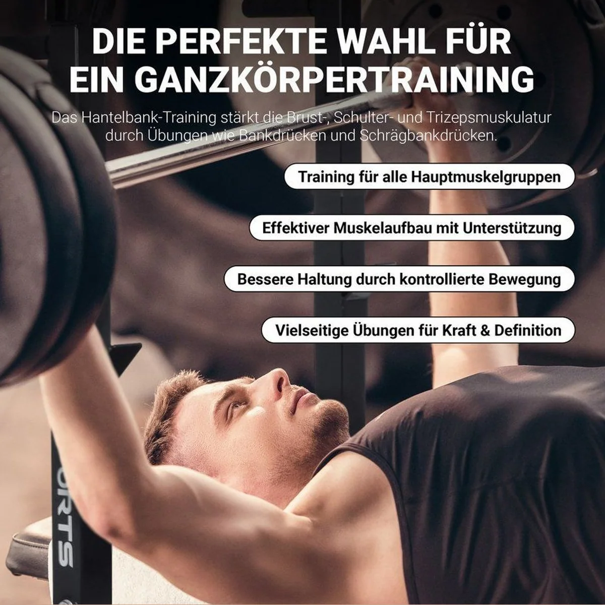 MSports Hantelbank multifunktional, klappbar, bis 200 kg belastbar 4