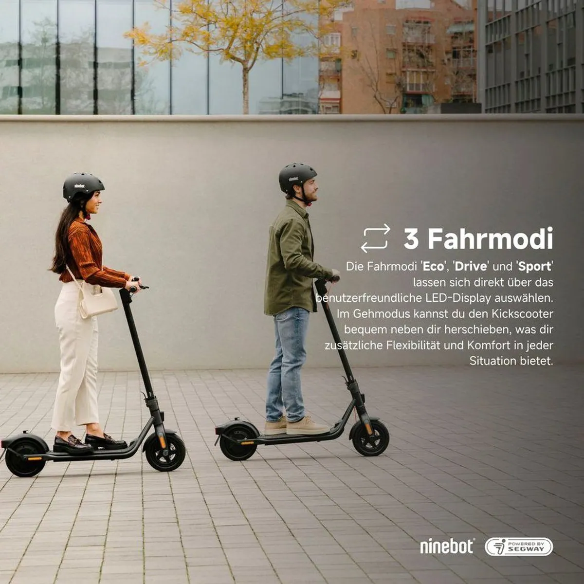 Ninebot F2 Plus KickScooter, 55 km Reichweite, 20 km/h, straßenzugelassen 2