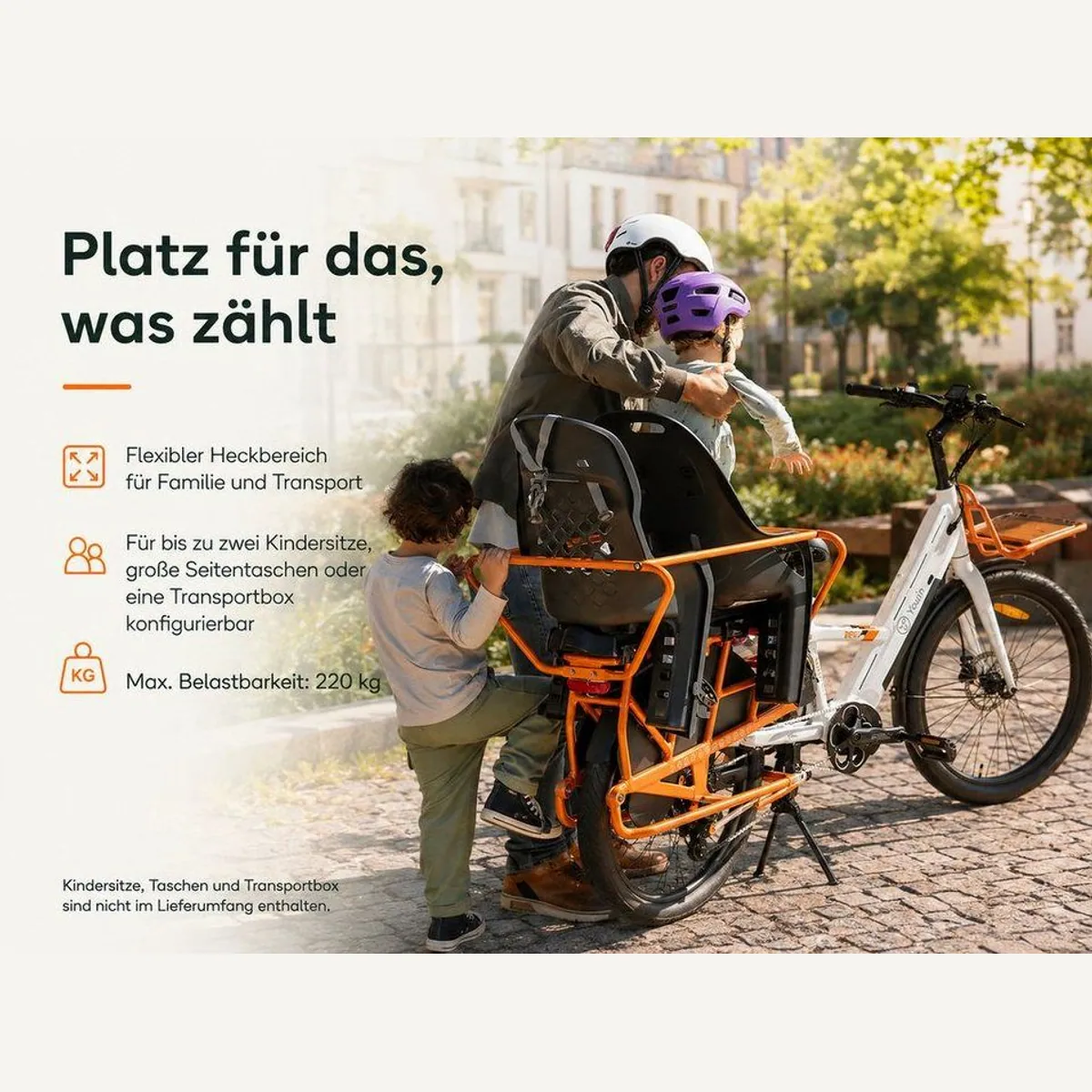 PixelPilot E-Bike Lasten-E-Bike, 250 W Mittelmotor, Dual-Akku 998 Wh, bis 125 km 4