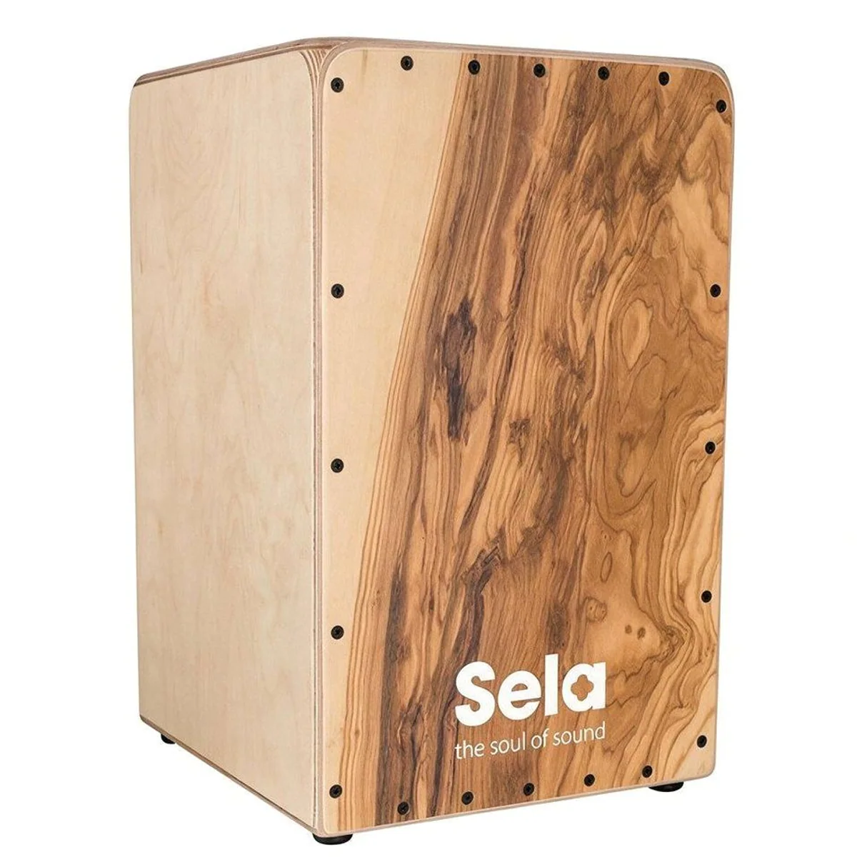Sela Cajon SE-MC1 Maestro Olea, Olivenholz-Furnier, stabiler Birkenkorpus, Snare-Effekt 2