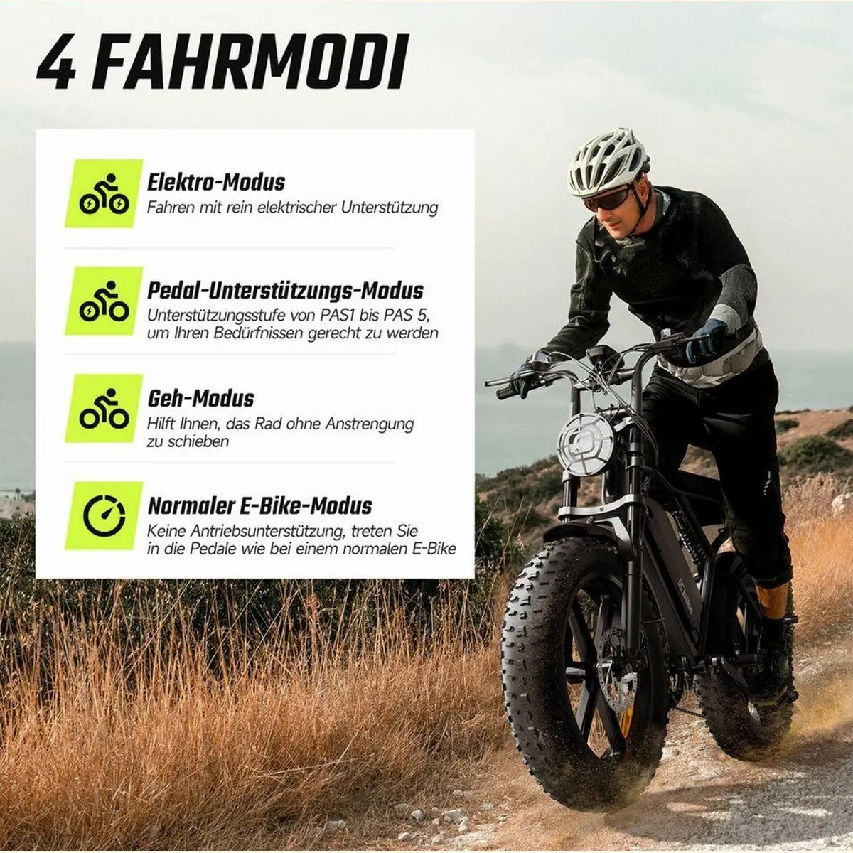 SISIGAD R002 PLUS E-Bike, 250W Motor, 130 km Reichweite, 20 Zoll Fat Tire 4