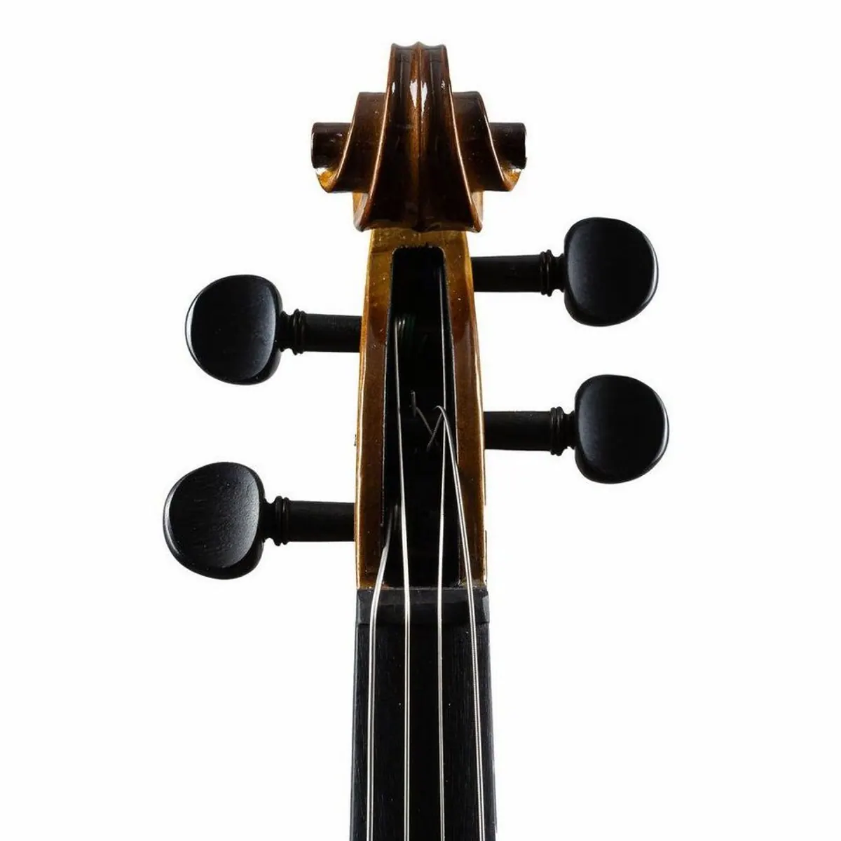 Stentor Student II Viola 16", Fichte Decke, Ahorn Korpus, inkl. Zubehör 5