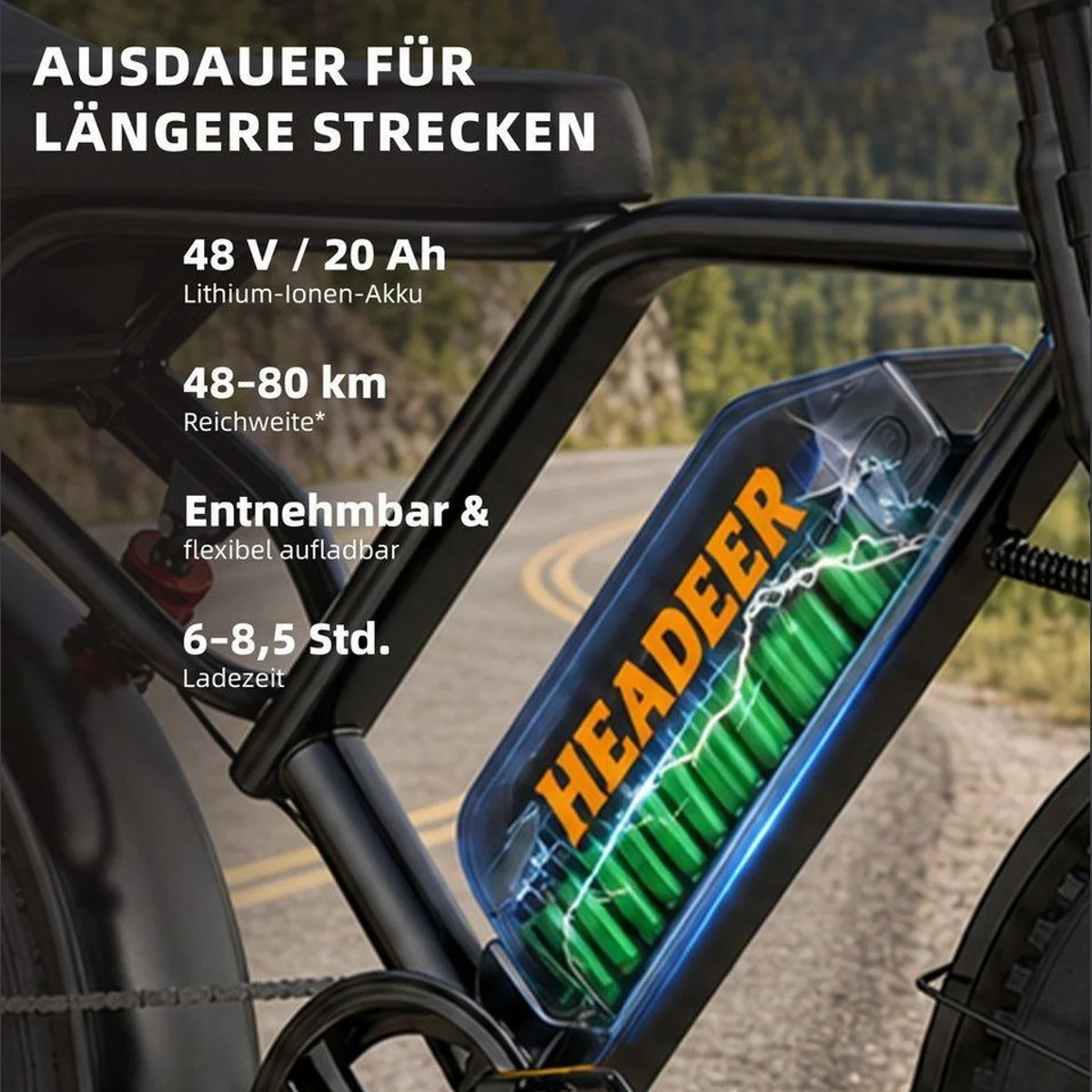 Vankel bk20 E-Bike, 250W Motor, 960Wh Akku, 20 Zoll Fatbike 3