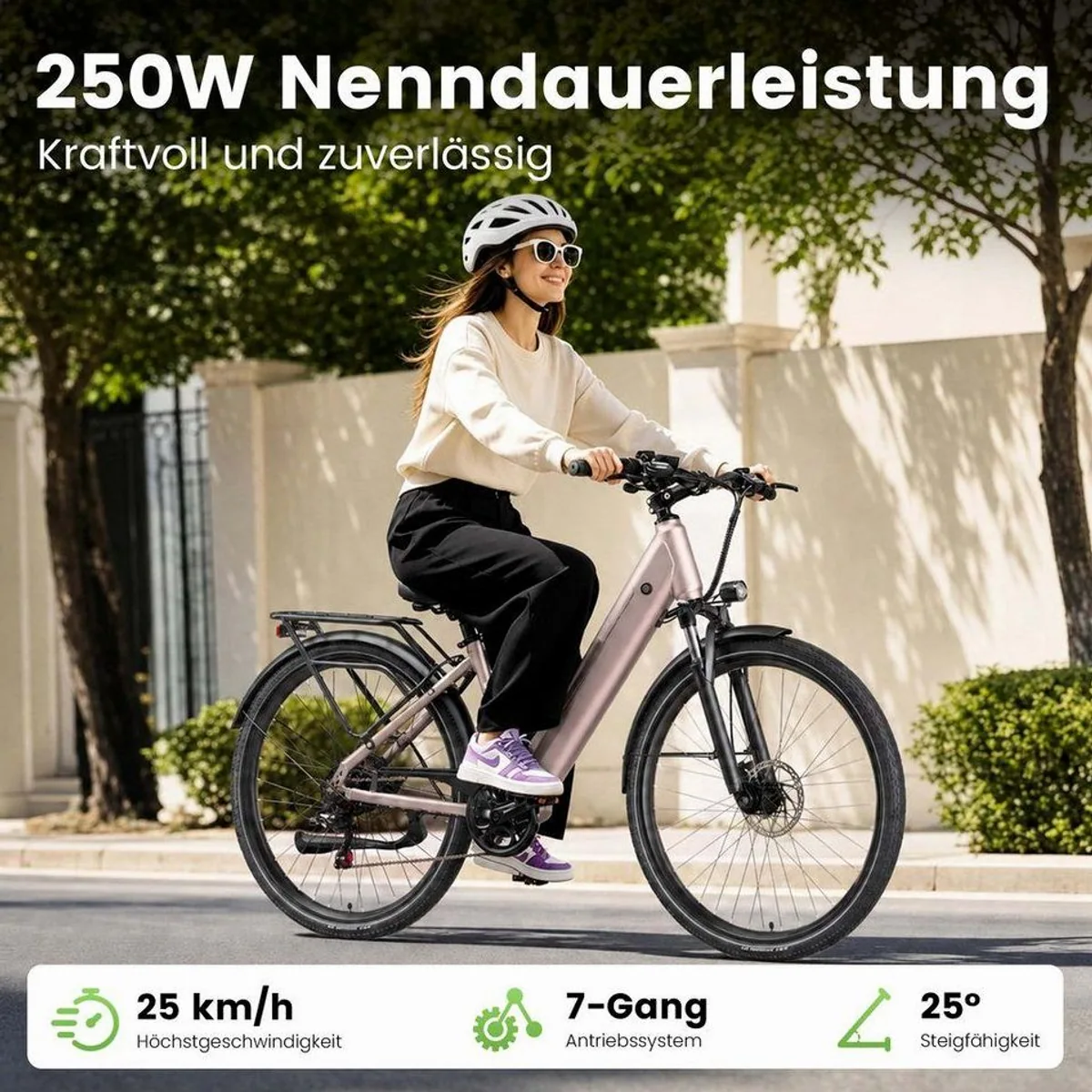 Vankel E-Bike Lira Cityrad, 250W Motor, 48V Akku, 140 km Reichweite 3