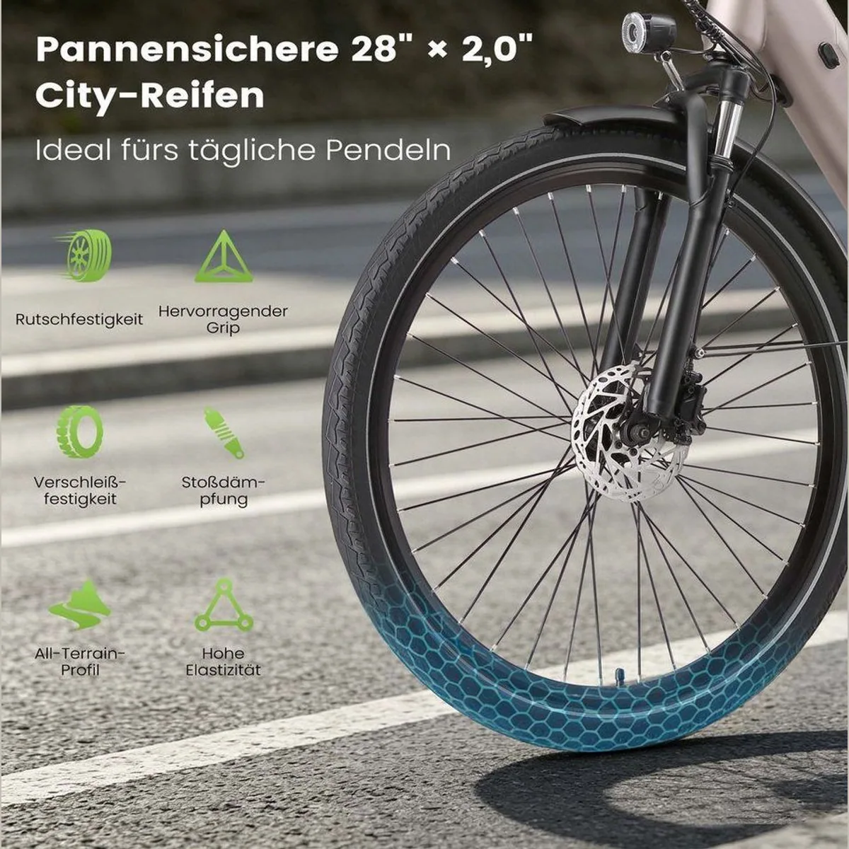 Vankel E-Bike Lira Cityrad, 250W Motor, 48V Akku, 140 km Reichweite 5