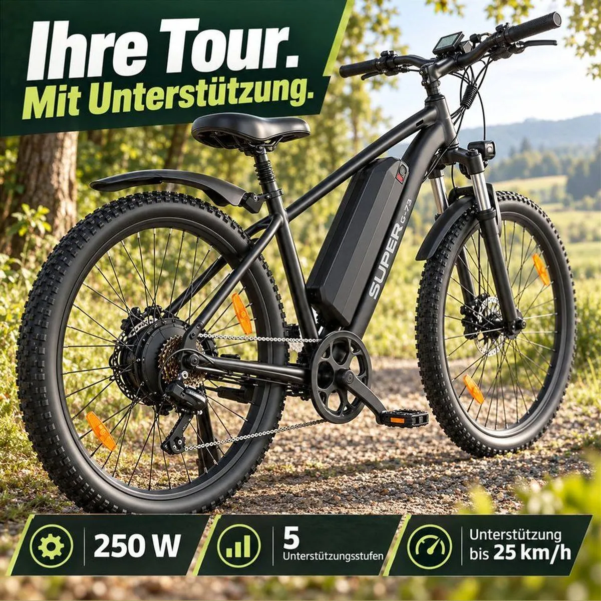 Vankel G73 E-Mountainbike, 250W Motor, 624Wh Akku, Shimano 7-Gang 4