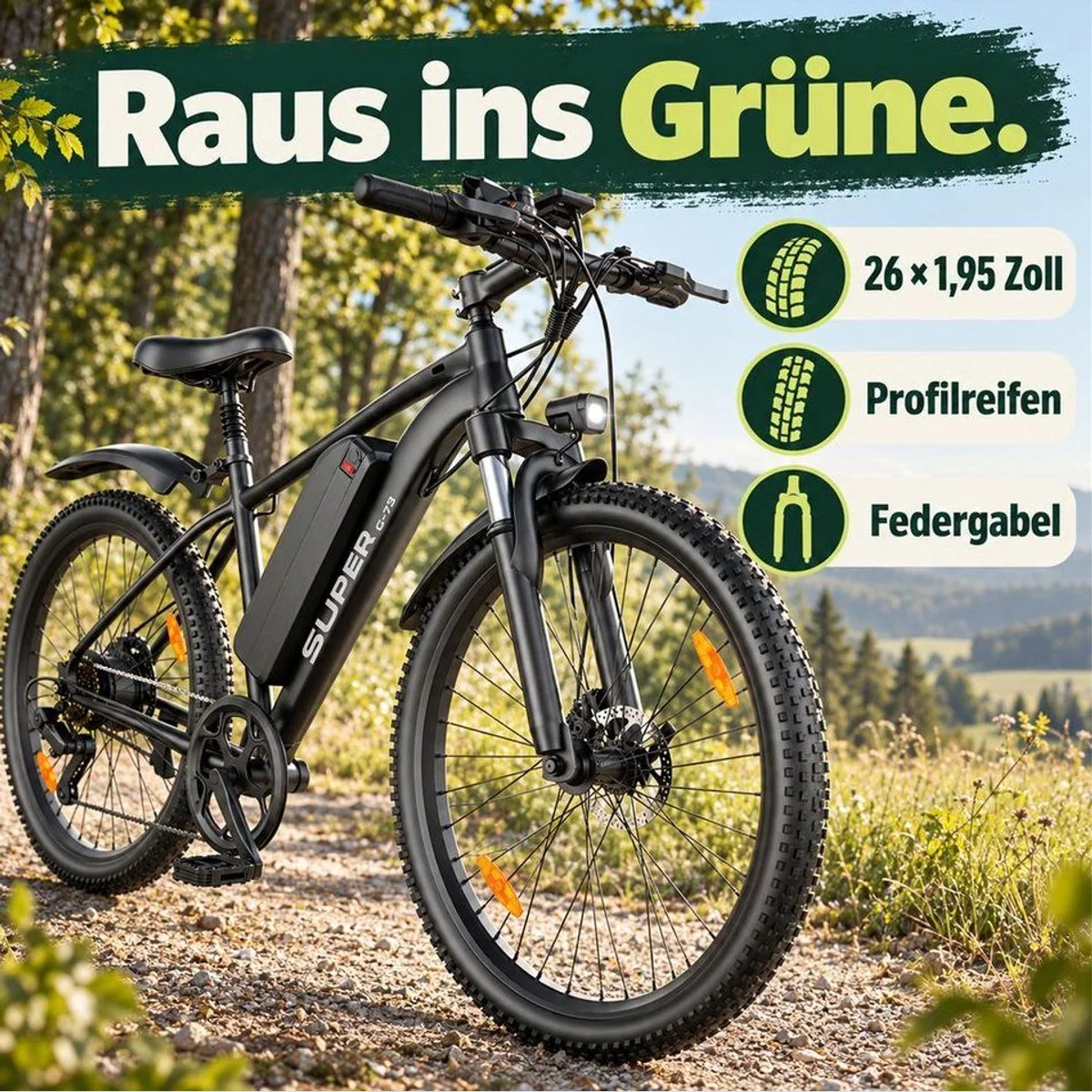 Vankel G73 E-Mountainbike, 250W Motor, 624Wh Akku, Shimano 7-Gang 5