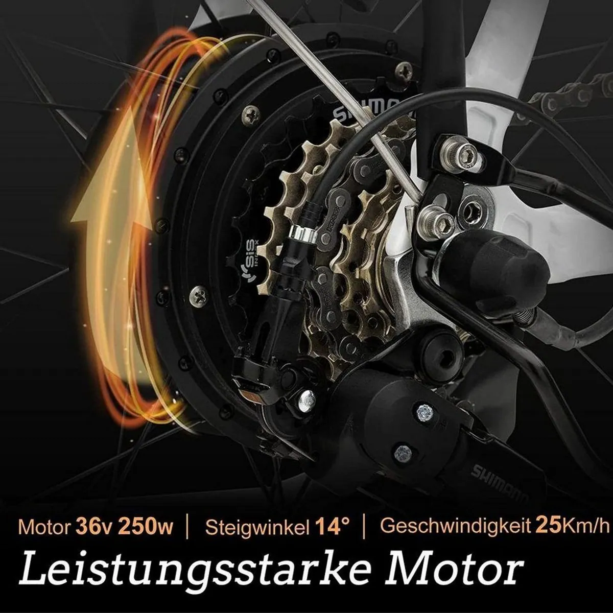 VECOCRAFT E-Pax 20 Zoll E-Bike, 250W Heckmotor, 7-Gang Shimano, herausnehmbarer Akku 5