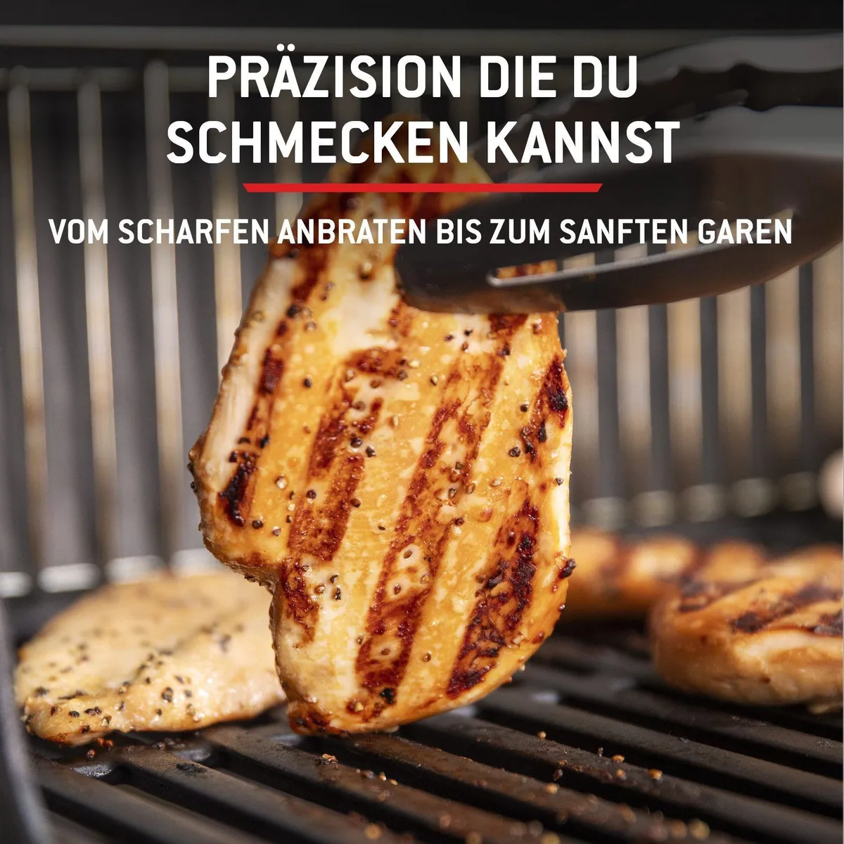 Weber SPIRIT E-310 Gasgrill, vielseitig, robust, komfortabel 5